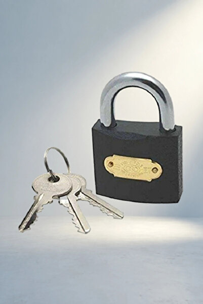 MEKs Padlock Gray mm Security Solution