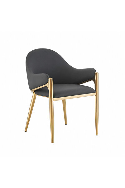 Generic Luxury Leather Chair in Dark Gray