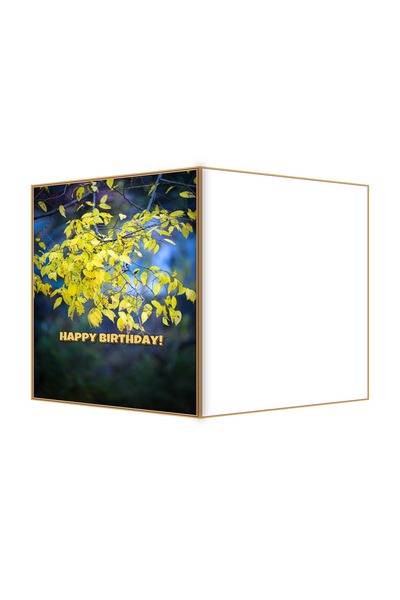 OEM Felicitare Aniversare Frunze de Toamna Vibrante, Design Floral Colorat, 1...
