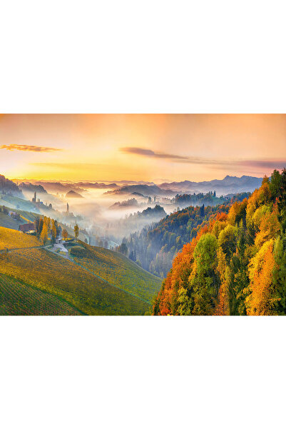 VIODESIGN Fototapet abstract ,autoadeziv, Toamna , multicolor,120x200 cm PE266