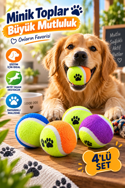 House Bird 4-Piece Dog Play Ball Set, Bite Training and Fetch Toy, Colorful P...