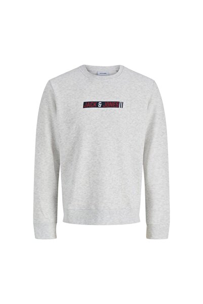 Jack & Jones Munk Men's Gray Sweatshirt (12298431-Wm)