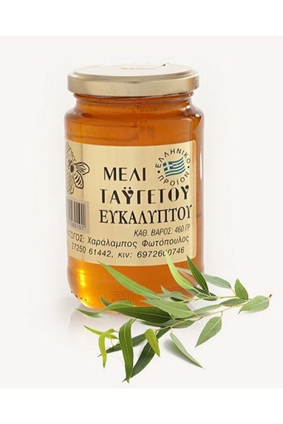 Fotopoulos Charalambos Taygetus Μέλι Ευκάλυπτου 960γρ