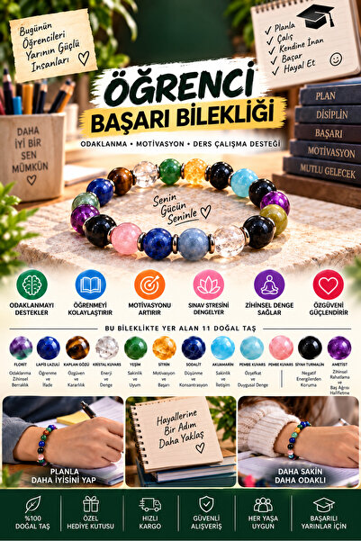 Generic Brand Student Success Natural Stone Bracelet – Focus, Motivation, and...