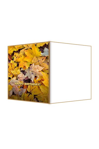 OEM Felicitare Aniversare Frunze de artar toamna vibranta, 13.3x19.4cm pliata