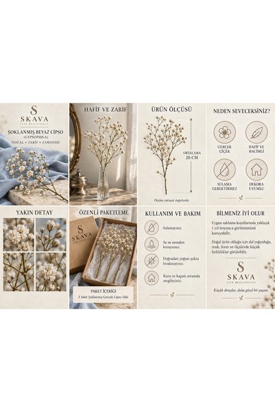 Şoklanmış Beyaz Cipso (Gypsophila) 20 cm Doğal Dekoratif Kuru Çiçek 3 Dal