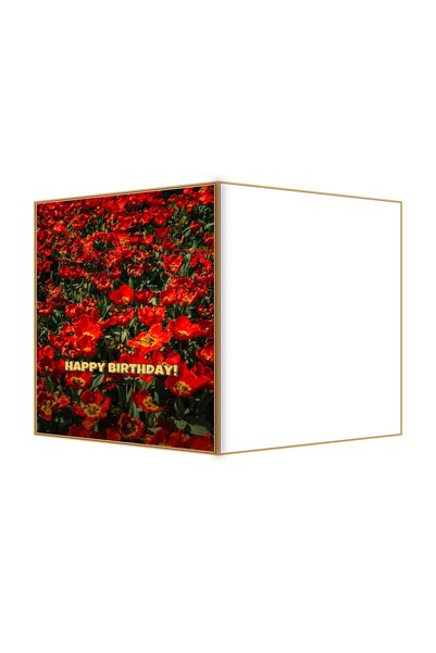 OEM Felicitare Aniversare Gradina cu Lalele Stralucitoare, 13.3x19.4 cm