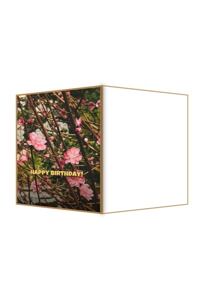 OEM Anniversary Greeting Card Peach Blossom Branches, 13.3x19.4cm folded, ele...
