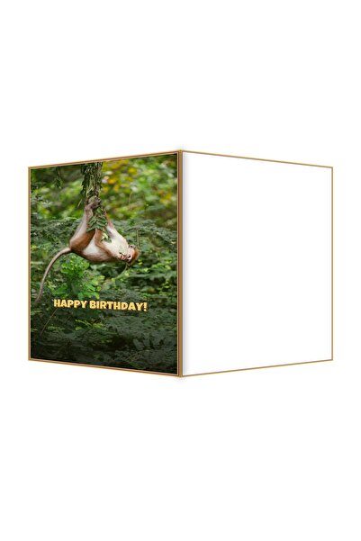 OEM Felicitare Aniversare Maimuta Jucausa si Liane, 13.3x19.4cm Pliata