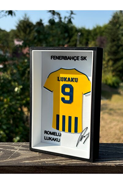 Romelu Lukaku 3D Çerçeve
