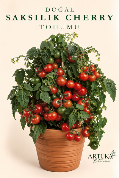 Artuka Botanica Doğal Saksılık Cherry Domates Tohumu (30 ad) | Ata Tohum