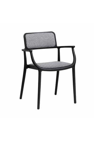 Generic Luxury Plastic Chair in Black Color