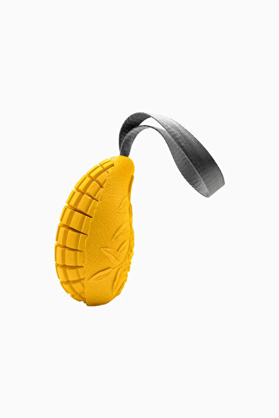 Sprenger Mango Dog Toy with Natural Rubber Treat Container - Yellow