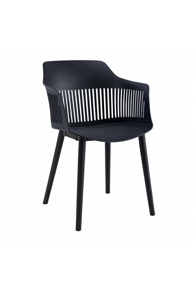 Generic Black Color Sitting Chair