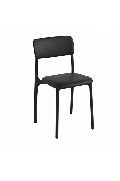 Generic Luxury Plastic Chair in Black Color