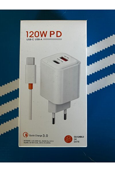 Generic Brand Incarcator Type C 120w