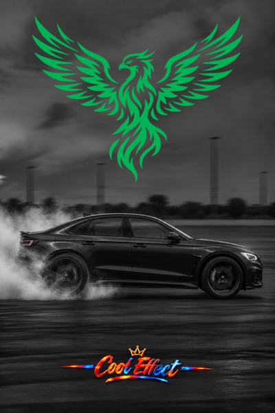 Cool Effect Anka Kuşu Oto Sticker Araba Arka Cam Sticker Kesim Folyo