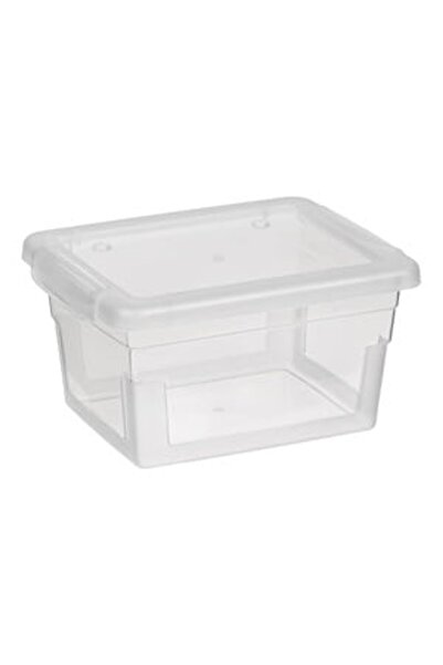 OEM Cutie de Depozitare din Plastic Transparent cu Capac 0.63L - Cutii Organi...