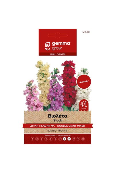 Gemma Σπόροι Βιολέτας 0.5gr/315τμχ 12538