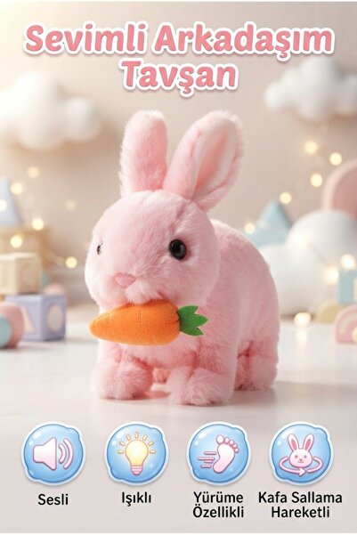 Tıfıl Toys Işıklı ve Sesli Yürüyen Havuç Detaylı Eğitici Hareketli Kafa Salla...