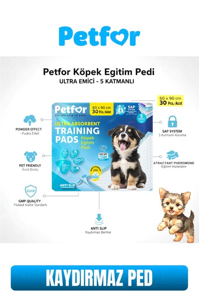 Petfor Köpek Eğitim Pedi 60x90 Kaydırmaz Bantlı 60 Adet