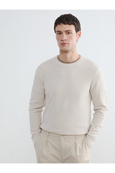 LC Waikiki Crew Neck Men's Knitwear Sweater