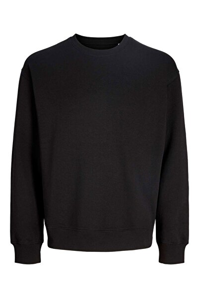 Jack & Jones Jjeace sweat crew neck noos.