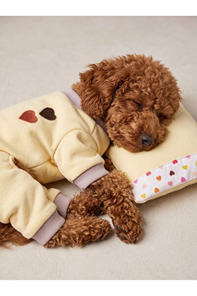 Kemique Winter Hearts Köpek Uyku Takımı | Pamuklu Penye Köpek Tulumu ve Mini ...