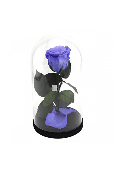 Trandafir Criogenat Trandafir violet conservat în cupolă de sticlă