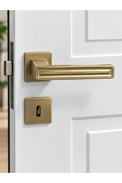 ARTLİNE C52949168235 PC35 ODA KR.RZT.GROVE MATT BRASS KAPI KOLU