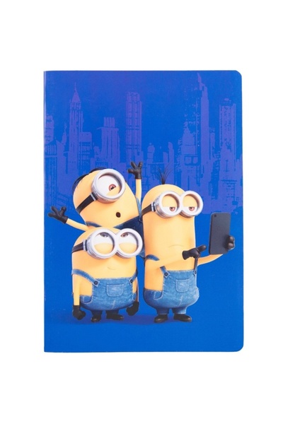 OEM Caiet Tip 1 Minion 24 file, 60/mg