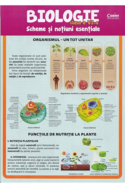 Corint Biologie - Clasa 6 - Scheme si notiuni esentale - Silvia Olteanu, Came...