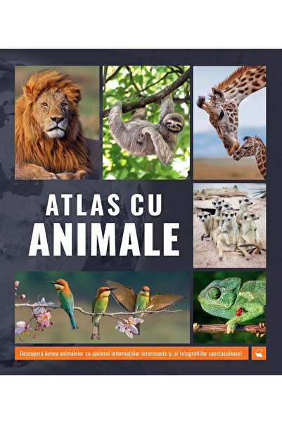 Kreativ Atlas cu animale
