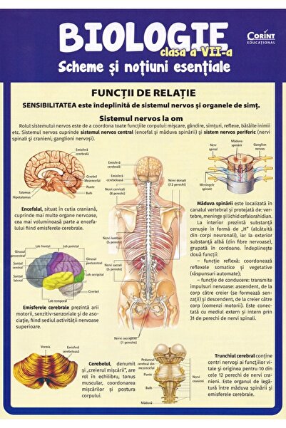 Corint Biologie - Clasa 7 - Scheme si notiuni esentiale - Silvia Olteanu, Cam...