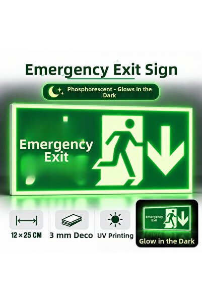 Pass Pano Emergency Exit Directional Sign Phosphorescent Night Glowing 12 × 2...