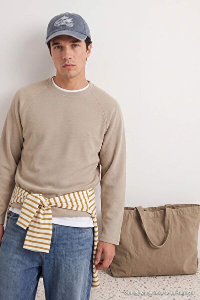 Trendyol Collection Stone Regular/Normal Cut Bird Embroidered Crew Neck Ragla...