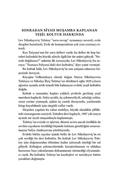 Alfa Yayınları Lev Tolstoy - Biyografi