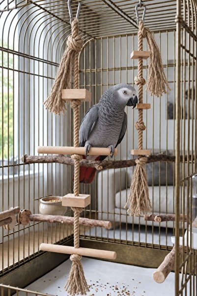Mivra Pets İkili Set Doğal Ahşap Papağan Kuş Oyuncağı Tırmanma Merdiveni Kemi...