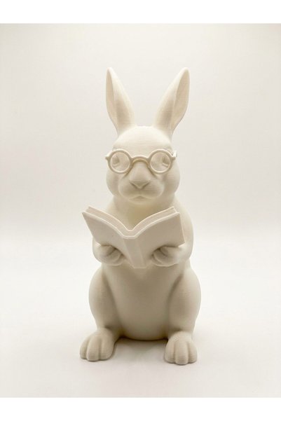 Genel Markalar Kitap Okuyan Tavşan Biblo 20 cm 3D Baskı Kırık Beyaz Dekoratif...