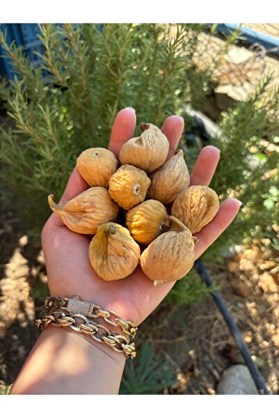 olivish Kahve Yanı İkramlık Organik Bebek İncir 500gr