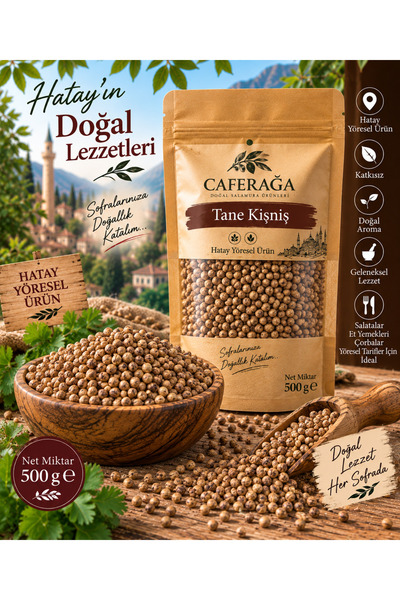 TANE KİŞNİŞ (500GR)