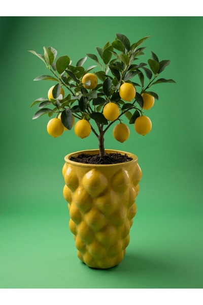 mora store Limon Desenli Kabartmalı Sarı Seramik Vazo Akdeniz Bohem Tarz Salo...