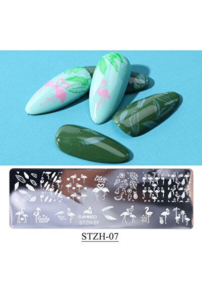 Beauty Box Flamingo Nail Art Stampa Plakası Tırnak Stampası Tırnak Süsleme Ba...