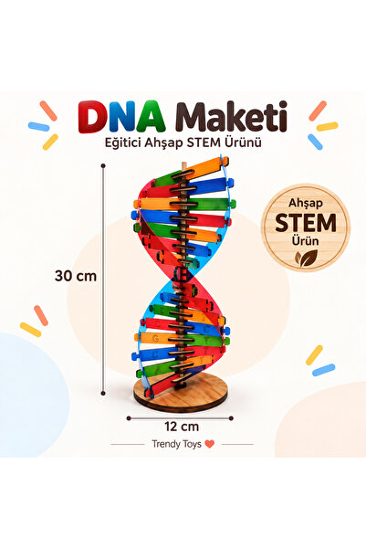 Trendy Toys Dna Modeli Eğitici Ahşap Renkli Dna Seti 30 cm