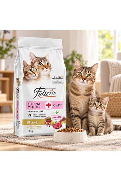 Felicia Kitten & Mother-Care Low Grain Hrană uscată completă pentru pisoi și pisici gestante sau care alăptează cu miel, 12 kg