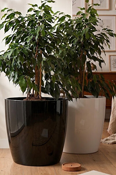 TEMMUZ HOME “2 Adet No:5 –22 Litre(Kirli Beyaz & Siyah) Tabaksız Drenaj Izgar...