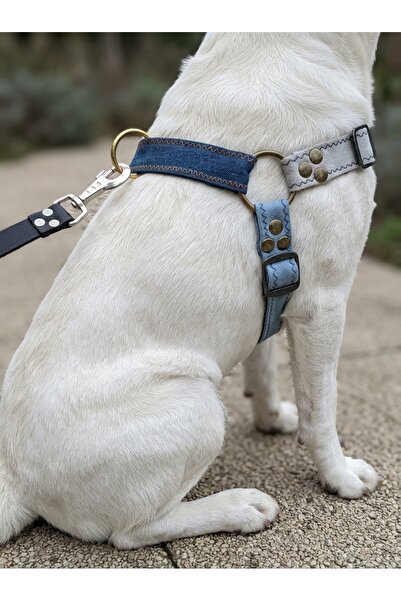balkonda Köpek Göğüs Tasması Dev Irk Ayarlamalı Önden ve Sırttan Çekmeli Kot ...