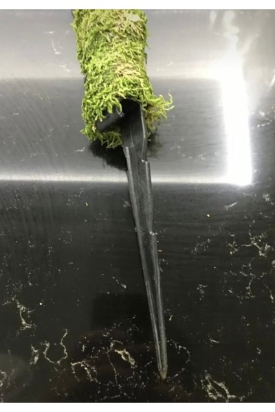 greendeco Bitki Destek Çubuğu 100 Cm (yosun Sopası)-saplama aparatlı destek çubuğu