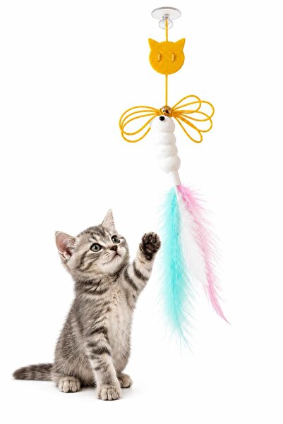 jetfast 2 Meters Elastic String Self-Adhesive Cat Fishing Rod Toy with Feathe...