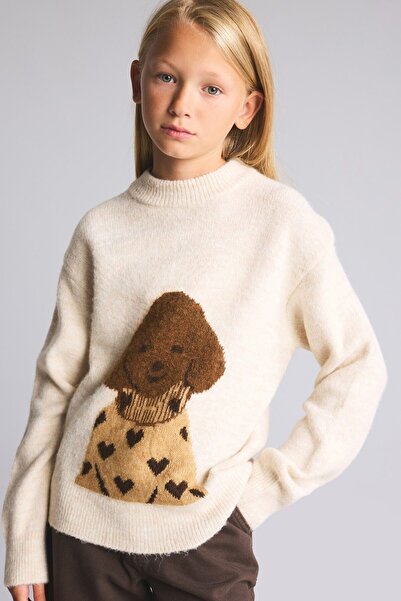 DeFacto Turtleneck Dog Figured Knitwear Sweater for Girls I6386A826Wn